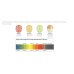 KOLED LED BEAUTY MASK VISO