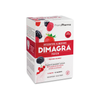 DIMAGRA PROTEIN FRUTTI ROSSI 10 BUSTE
