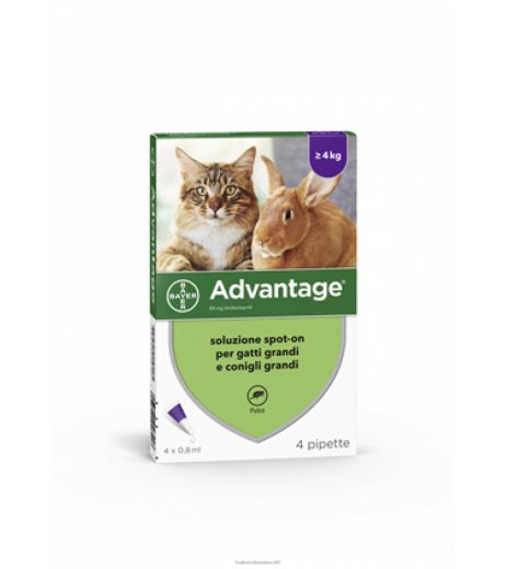 Advantage antiparassitario per gatti e conigli con 4 pipette spot-on da 0,8 ml