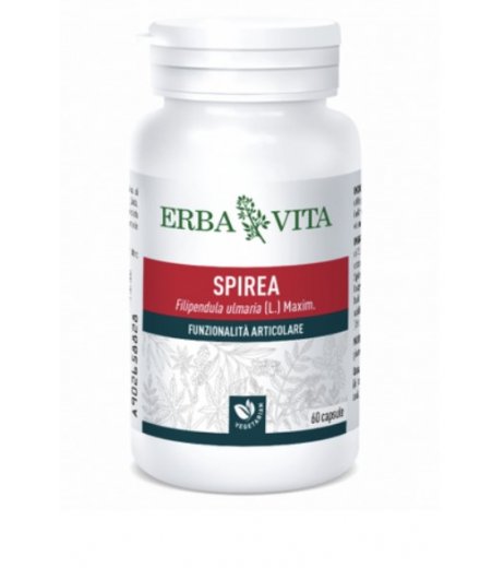 SPIREA 60 Capsule 400mg Erba Vita