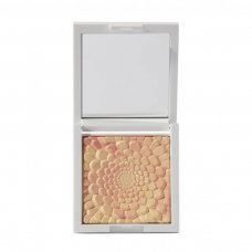 Goovi One Last Touch Blotting Powder Cipria Opacizzante 02