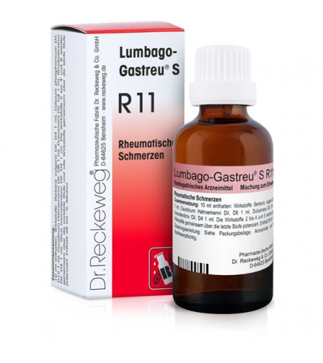 Reckeweg R11 Gocce 22 Ml