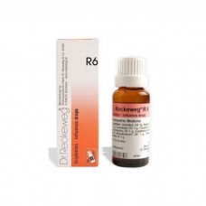 Reckeweg R6 Gocce 22 Ml