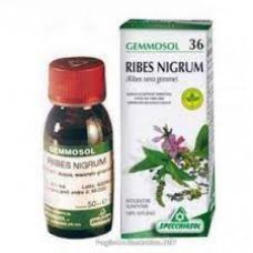 RIBES NIGRUM MG 100ML SPECCHIA