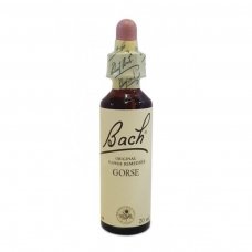 BACH CENTER ESS WILD OAT 20ML