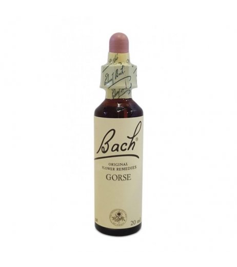 BACH CENTER ESS WILD OAT 20ML