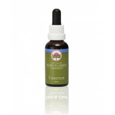 BOAB ESSENZA 15ML
