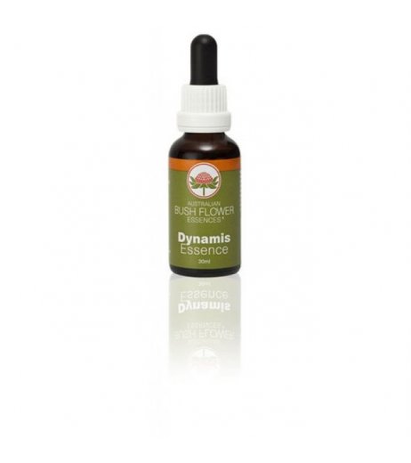 DYNAMIS 30ML NATUR