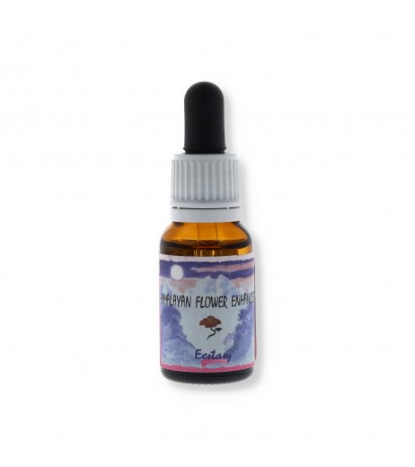 ECSTASY ESS 15ML