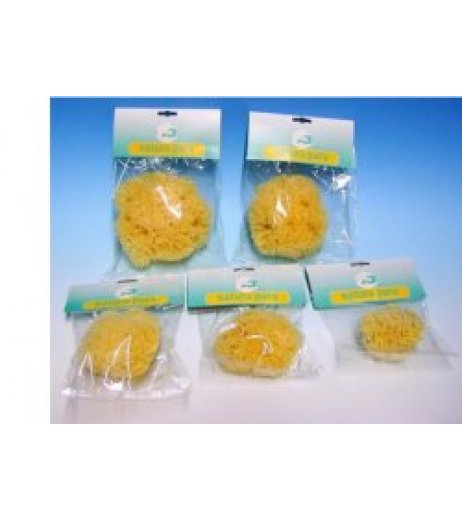 NATURA PURA SPUG NAT 8 BUST