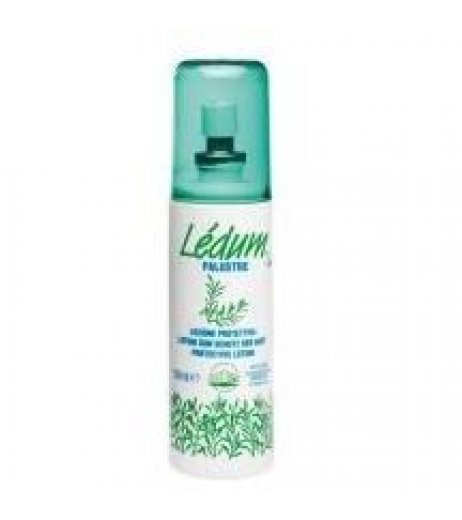 LEDUM SPRAY LOZ 100ML