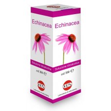 ECHINACEA SOL IAL PIANTA FR100