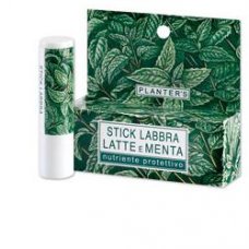 PLANTERS STK LAT MENT