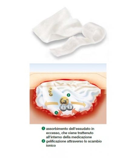 SUPRASORB A COMPR 5X5CM 10PZ