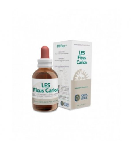 FV.LES FICUS CARICA 50ML MG "E