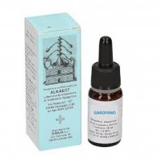 QUINTESSENZA QE08 GAROFANO10ML