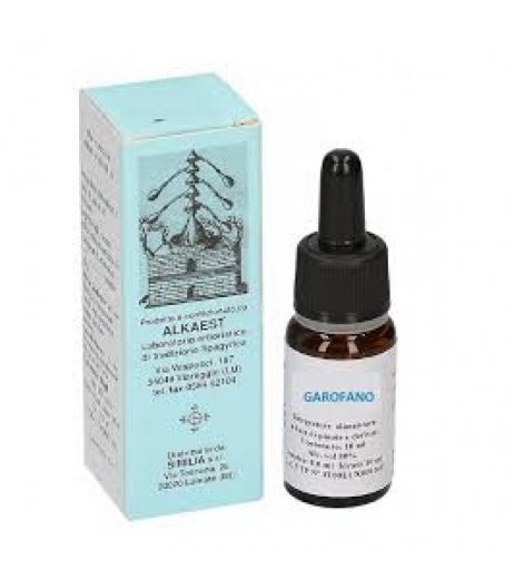 QUINTESSENZA QE08 GAROFANO10ML