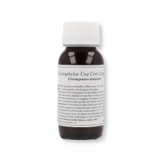 59S ARCTOSTAPHYLOS UVA URS COM