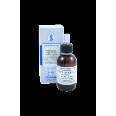 CORYLUS AVELLANA 100ML MG