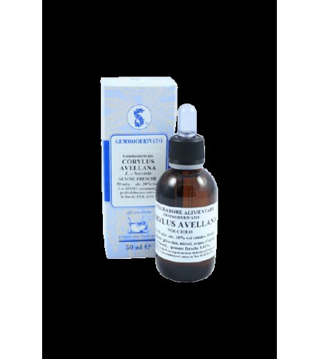 CORYLUS AVELLANA 100ML MG