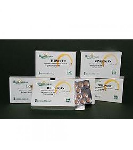 GINKGOSAN 24CPR 400MG