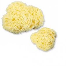 MB SPUGNA MARE MED 114.02