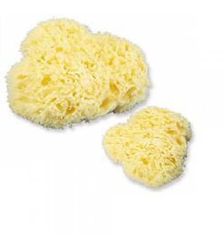 MB SPUGNA MARE MED 114.02