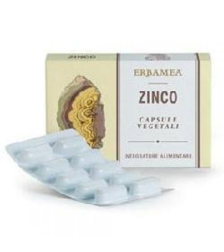 ZINCO 24 Capsule Veg. EBM