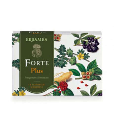 FORTE PLUS 14FL DA 10ML S/GL E