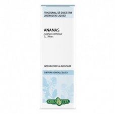 ANANAS GAMBO SOL IAL 100ML