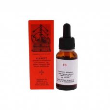 TS24 GINKGO BILOBA 20ML