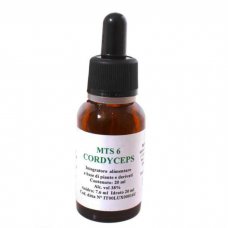 MTS6 CORDYCEPS GTT 20ML