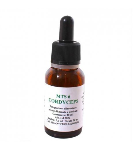 MTS6 CORDYCEPS GTT 20ML MTS6 CORDYCEPS GTT 20ML