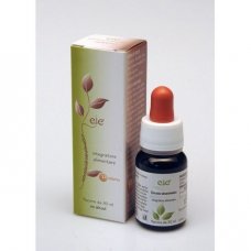 EIE BETULLA GTT 30ML