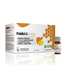 PAIDOLAB Energy 10 Fl.10,3g