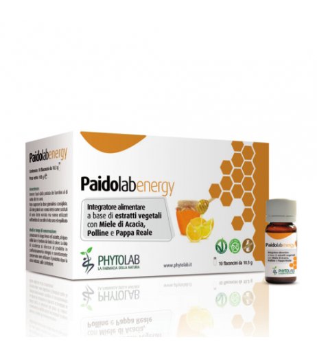 PAIDOLAB Energy 10 Fl.10,3g