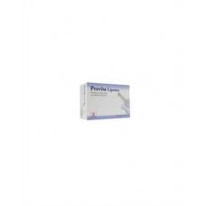 PROVITA LIPOICO 36CPR
