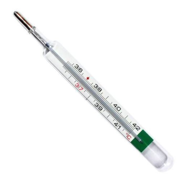 TERMOMETRO AL GALLIO FARVISAN