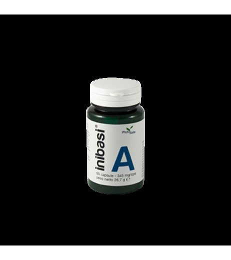 INIBASI A 30CPS INIBASI A 30CPS