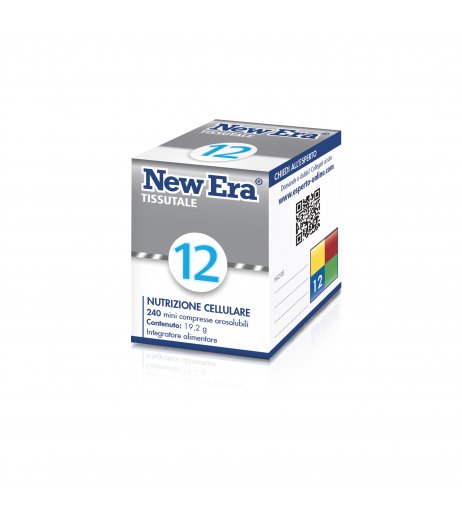 NEW ERA 12 240GR