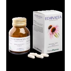 ECHINACEA 50 Cps
