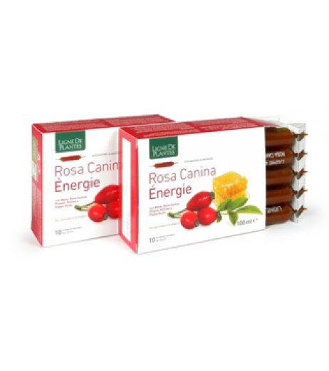 ROSA CANINA ENERGY 10FLL 10ML ROSA CANINA ENERGY 10FLL 10ML