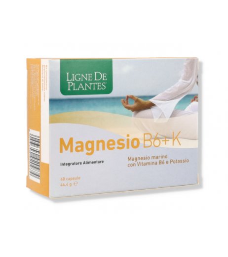 MAGNESIO B6 + K 60CPS NATURA S