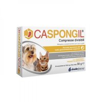 CASPONGIL 30 Cpr