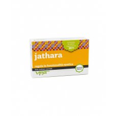JATHARA VIRYA 60CPR 500MG