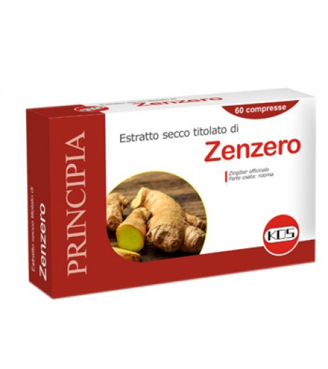 ZENZERO ESTRATTO SECCO 60CPR