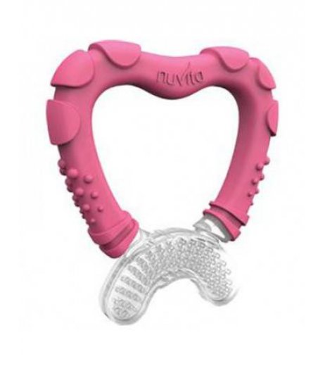 MASSAGGIA GENGIVE 4MESI+ ROSA MASSAGGIA GENGIVE 4MESI+ ROSA