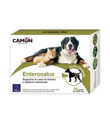 ENTEROSALUS 20BUST 2.5G