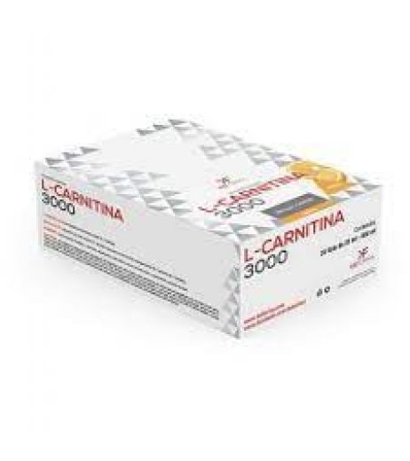 L CARNITINA 3000MG 24FL 25ML