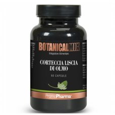 CORTECCIA LISCIA OLMO BOT60CPS